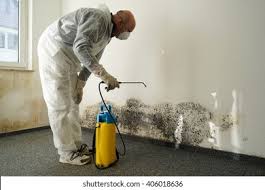 Best Mold Removal for HVAC Installations  in Sebewaing, MI